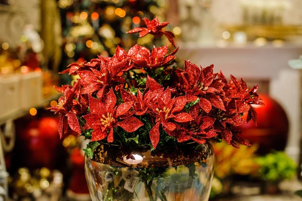 Красные искусственные пуансетционные цветы, украшенные серебряной мишурой в золотой вазе — стоковое фото