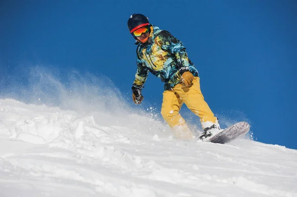 Snowboarder Attivo Abbigliamento Sportivo Brillante Cavalcando Pendio Montagna Polvere Contro — Foto Stock