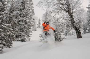 Adam dağ turistik tatil Goderzi, Georgia'daki toz karda snowboard ağaçta arasında atlama