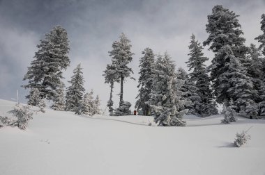 Goderzi, Gürcistan popüler turistik tatil yüksek ağaçları arasında dağ yamacında duran iki Snowboard düşkünleri