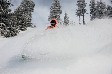 Ağaçlar ve dağ turistik tatil Goderzi, Gürcistan'ın gökyüzü arka plan üzerinde sıçrama yapma snowboard üzerinde dağ tepeden aşağı koşan adam