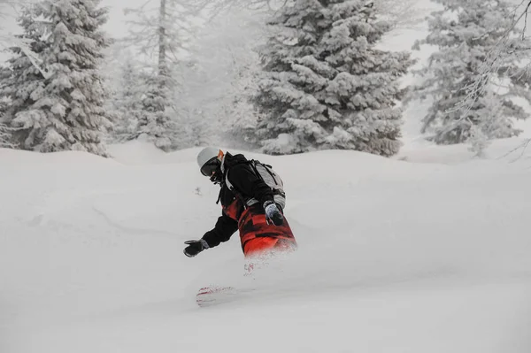 Άνδρας Ιππασία Στο Snowboard Στο Κονιοποιημένο Χιόνι Στο Βουνό Τουριστικό — Φωτογραφία Αρχείου