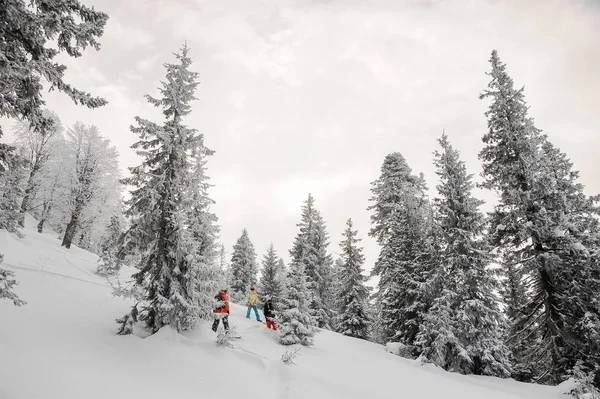 三滑雪板站在 Snowcovered 树之间在 Goderzi 格鲁吉亚的热门旅游胜地 — 图库照片