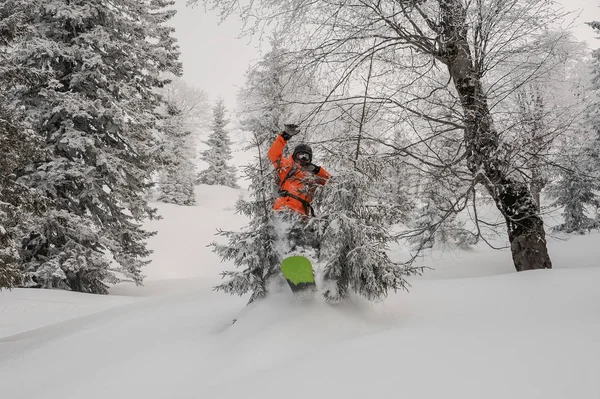 Hombre Snowboarder Saltando Entre Los Árboles Nieve Polvo Complejo Turístico —  Fotos de Stock