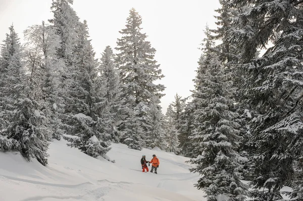 Dwa Snowboardziści Stojąc Między Drzewami Góry Patrząc Odległość Kurorcie Turystycznym — Zdjęcie stockowe