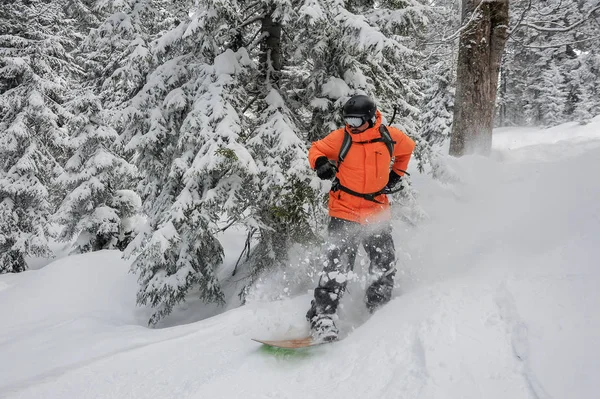 Homem Descendo Colina Snowboard Verde Neve Fundo Das Árvores Estância — Fotografia de Stock