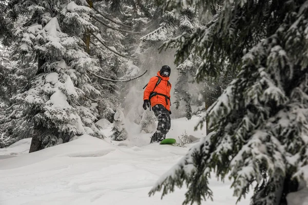 Homem Descendo Colina Snowboard Verde Neve Entre Árvores Estância Turística — Fotografia de Stock