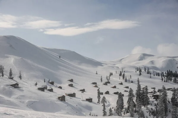 Przepiękny Krajobraz Wzgórza Pokryte Śniegiem Drzew Domów Popularnej Miejscowości Turystycznej — Zdjęcie stockowe