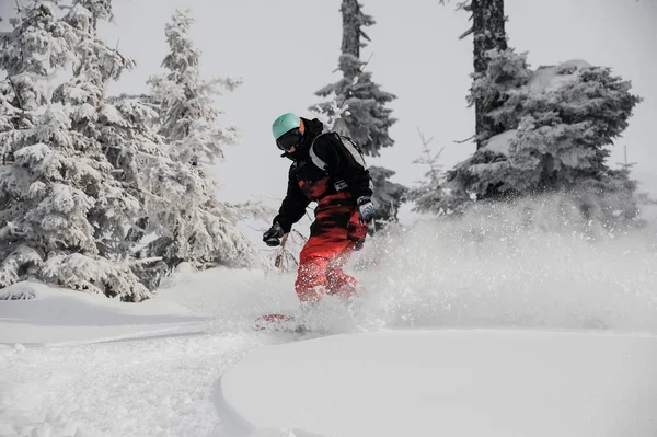 Kobieta Działa Dół Wzgórza Górskie Snowboardzie Tle Niebo Drzewa Górskiej — Zdjęcie stockowe