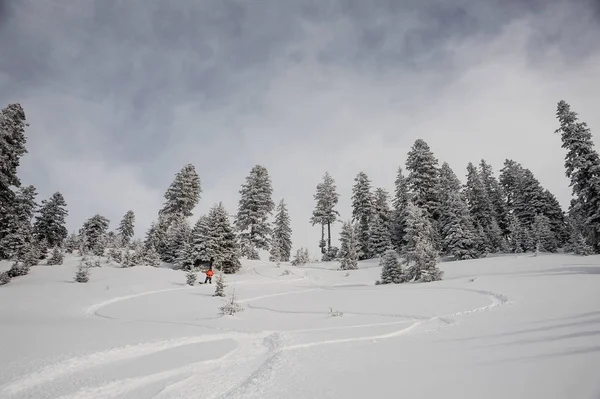 Człowiek Działa Dół Wzgórza Górskie Snowboardzie Tle Niebo Drzewa Dokonywanie — Zdjęcie stockowe