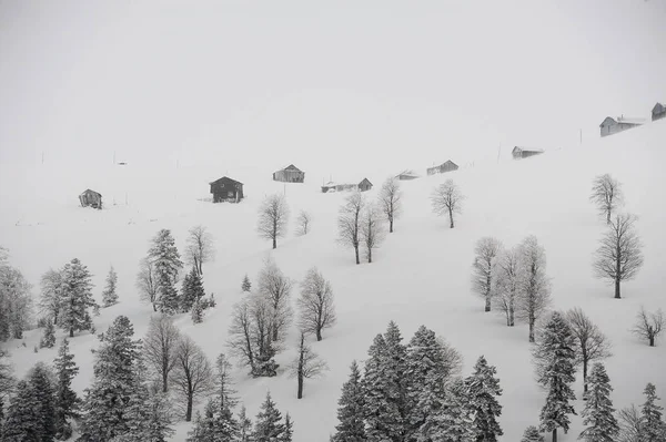 Hermoso Paisaje Invernal Colinas Cubiertas Nieve Con Árboles Popular Complejo — Foto de Stock