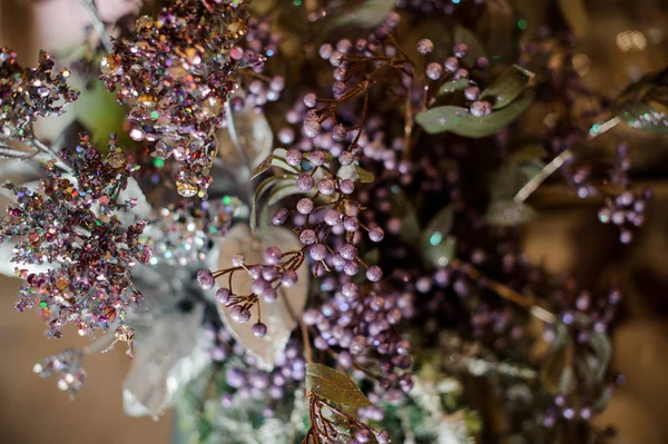 Fundo de ramos de decoração com pequenas bagas violetas — Fotografia de Stock