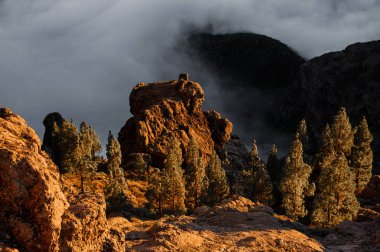 Gran Canaria, İspanya - 6 Kasım 2018: Kayalar ve ağaçlar Roque Nublo dağlarda muhteşem manzara