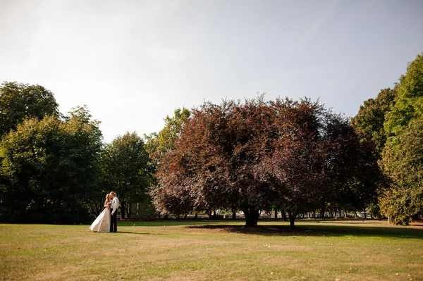 Casamento feliz casal de pé em um campo de grama verde com uma grande árvore — Fotografia de Stock