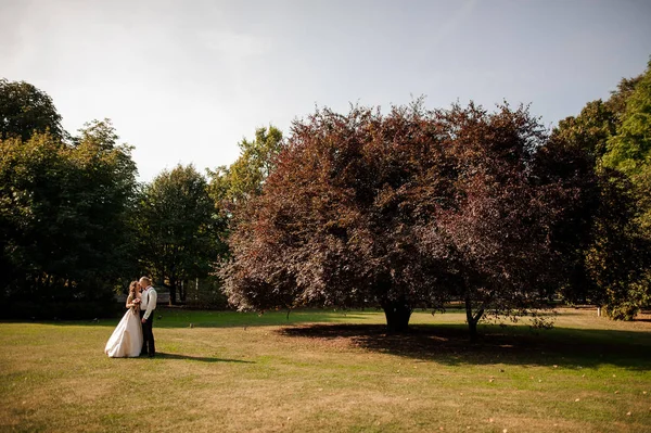 Casamento bonito casal de pé em um campo de grama verde com uma grande árvore — Fotografia de Stock