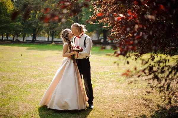Jovem casal se beijando em um campo de grama verde com árvores — Fotografia de Stock