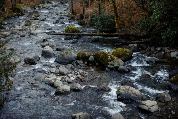 Amazingly beautiful landscape of the wild mountain river on the rocks with moss — Stock Photo, Image