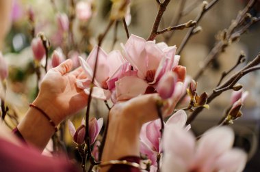 Muhteşem Manolya çiçek genç kadının elinde