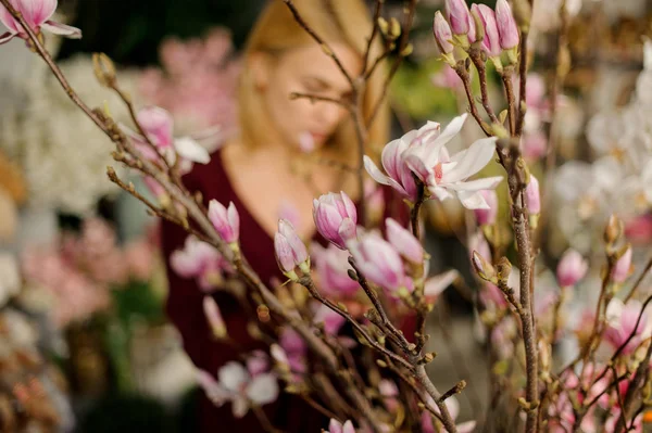 Bellissimi fiori di magnolia sul ramo dell'albero — Foto Stock