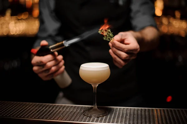 Il barista aggiunge rosmarino nel cocktail marrone chiaro dell'alcool — Foto Stock