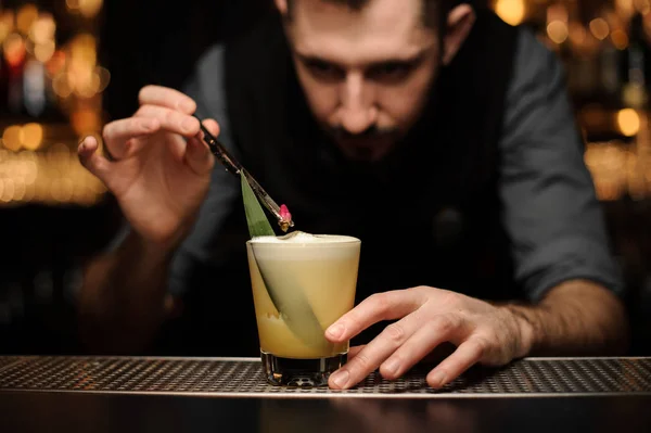 Barman voegt rode bes in de cocktail met een tang — Stockfoto