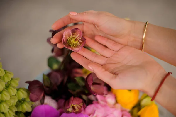Pequena flor bonita em mãos de menina precisas — Fotografia de Stock