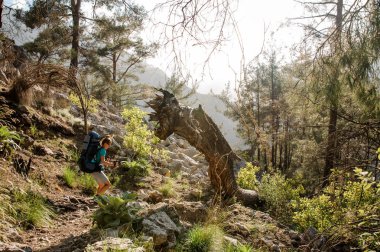 Ormanda bir sırt çantası yürüyüş ile Gezgin