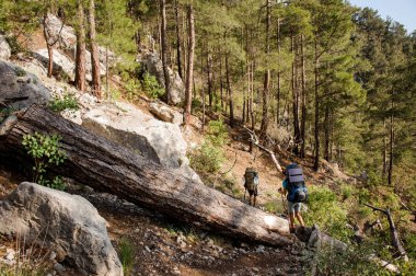 Sırt çantaları ormanda yürüyüş ile iki gezginler