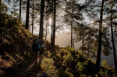 Sırt çantaları ormanda yürüyüş ile iki turist