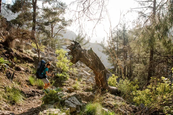 Resenär med ryggsäck vandring i skogen — Stockfoto