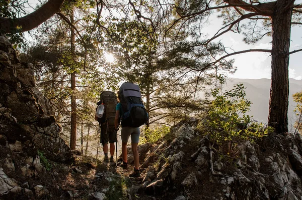 Sırt çantaları ormanda dolaşan iki gezgin