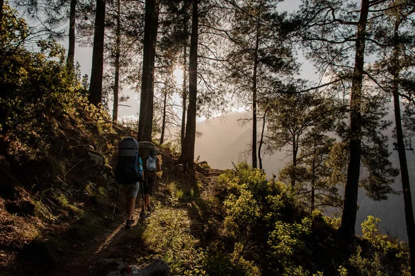 Deux touristes avec des sacs à dos randonnée en forêt — Photo