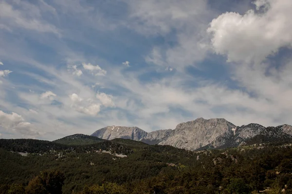 Захватывающий дух вид на горы и лес в Турции — стоковое фото