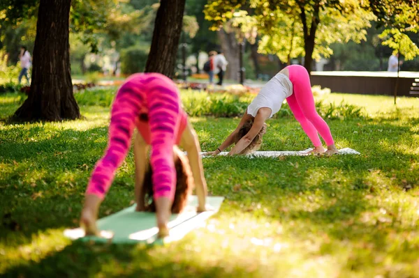 Mädchen üben Yoga im Park in abwärts gerichteter Hundepose — Stockfoto
