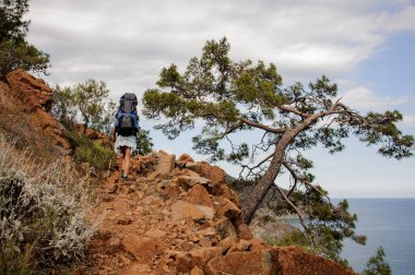 Arka görüş kız sırt çantası ile kayalar üzerinde yürüyüş