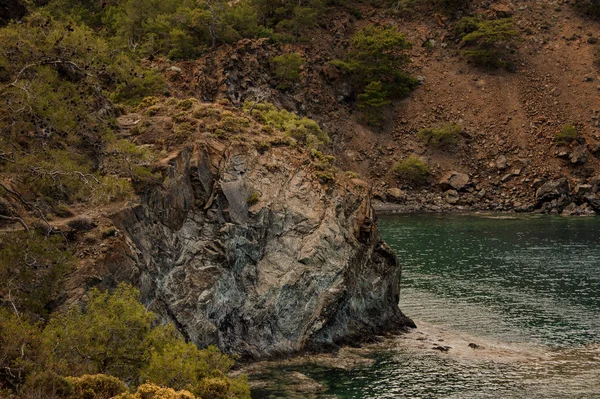 Landschaft der braunen Felsen, die von Bäumen bedeckt ist — Stockfoto