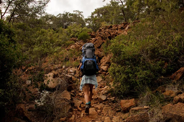 Back View Girl med ryggsäck och vandringsstavar gå upp på klipporna — Stockfoto