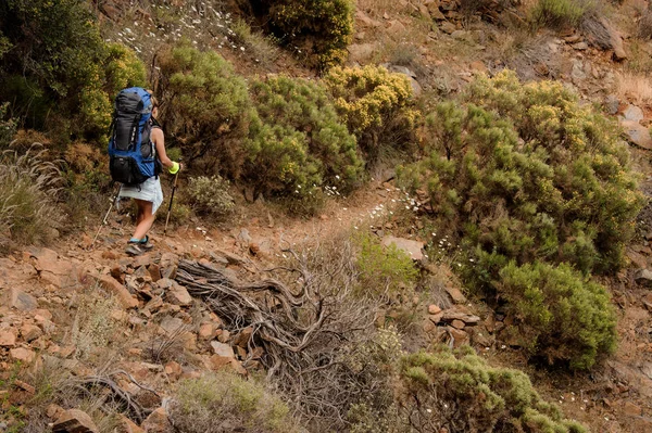 Bakifrån flicka med ryggsäck och vandringsstavar gå på Rocky Path — Stockfoto