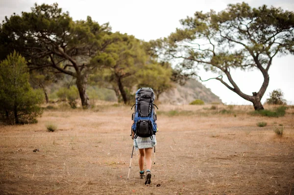 Achteraanzicht meisje met rugzak en wandelstokken wandelen door het veld — Stockfoto