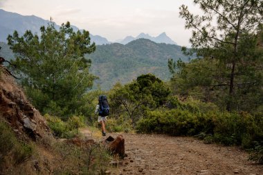 Sırt çantası ve yürüyüş çubukları ile arka görüş kız ağaçlar ve kayalar arasında kir yolda yürüyüş