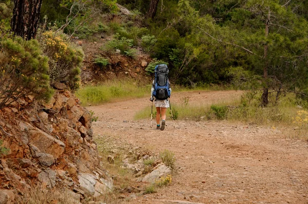 Achteruitkijk meisje met rugzak en wandelstokken lopen op de onverharde weg tussen rotsen — Stockfoto