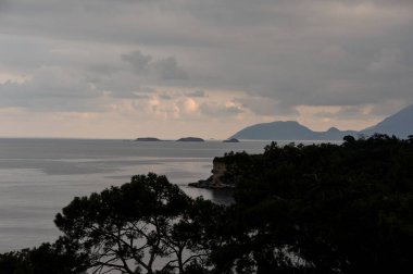 Ağaçların ön planda denizde dağlarda nefes kesen kuşlar-göz manzara