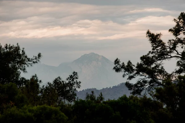 Paisaje de la montaña Tahtali en las nubes esponjosas en primer plano de las ramas — Foto de Stock