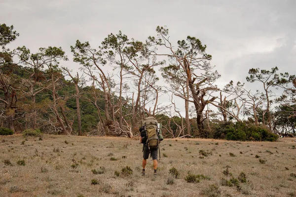 Vue arrière jeune homme avec sac à dos de randonnée marchant à travers le champ — Photo