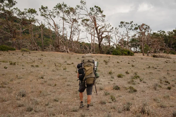 Achteruitkijk man met wandelrugzak wandelen door het veld — Stockfoto