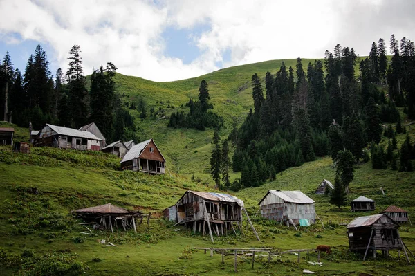 Bela vista das casas de madeira em pé na colina com árvores perenes — Fotografia de Stock