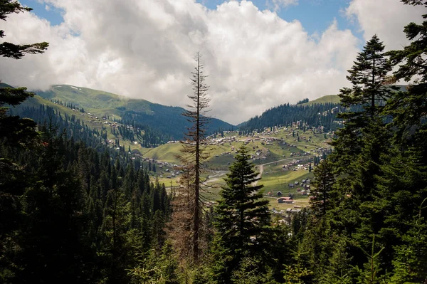 Paisaje de las montañas cubierto de bosque y casas en las colinas en el primer plano de árboles siempreverdes —  Fotos de Stock