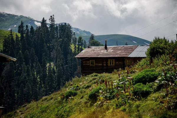Paisagem da casa de madeira na colina no fundo das montanhas e da floresta — Fotografia de Stock