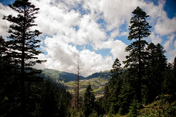Kilátás a hegyek borított erdő és házak a hegyekben az előtérben az örökzöld fák — Stock Fotó