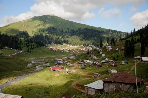 Landschap van de bergen bedekt met bos en kleine huisjes op de heuvels — Stockfoto